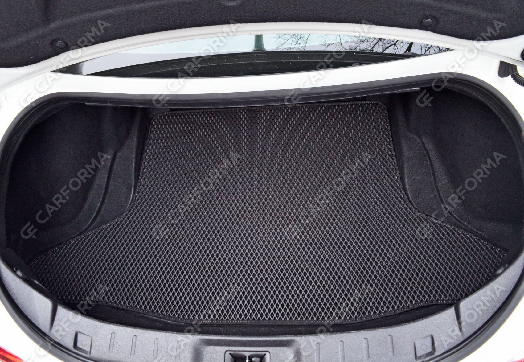 Коврики на Nissan GT-R 2007&nbsp;-&nbsp;2026 в Калуге