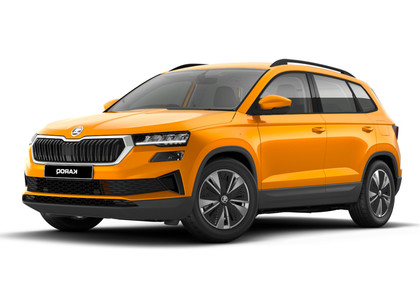 Коврики на Skoda Karoq 2017 - 2025 в Калуге