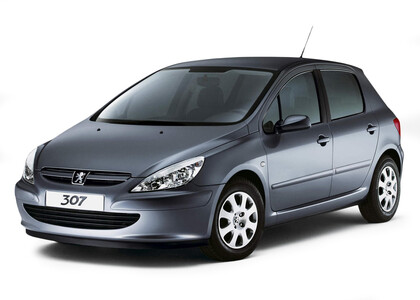 Ворсовые коврики на Peugeot 307 2001 - 2008 в Калуге