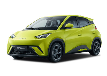 Коврики на BYD Seagull 1 2023&nbsp;-&nbsp;2026 в Калуге