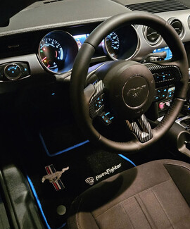 Ворсовые коврики на Ford Mustang VI 2013 - 2023 в Калуге Ворсовые коврики на Ford Mustang VI 2013 - 2023 в Калуге